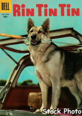 Rin Tin Tin #13 © May-June 1956 Dell